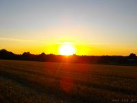 Sommerfest Baumberge 2010 251